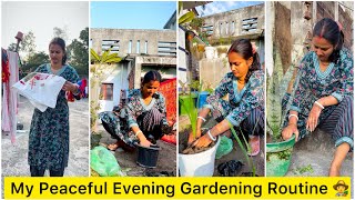 My Peaceful Evening Gardening Routine Indian Vlogger Daily Vlogging Dr