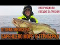 Инструкция по поездке за треской, на Баренцево море в Териберку.