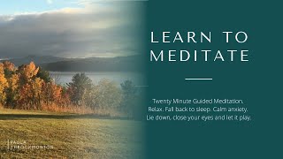 Famous Learn To Meditate. Twenty Minute Guided Meditation.  Relax.  Fall back to sleep. Calm anxiety. Profile