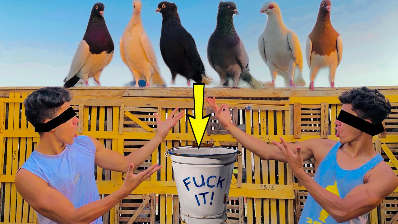 تحدي معرفة انواع الحمام باللمس😱🕊والعقاب يترمي ف برميل مياة!!😡🤓