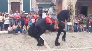 Fiestas patrias 2014 Unión de San Antonio, Jalisco.