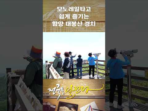🚋<strong>모노레일타고</strong> 쉽게 즐기는 대봉산 경치🌄 #shorts #전국을달린다 #자연