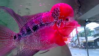 WP 20130714 003
