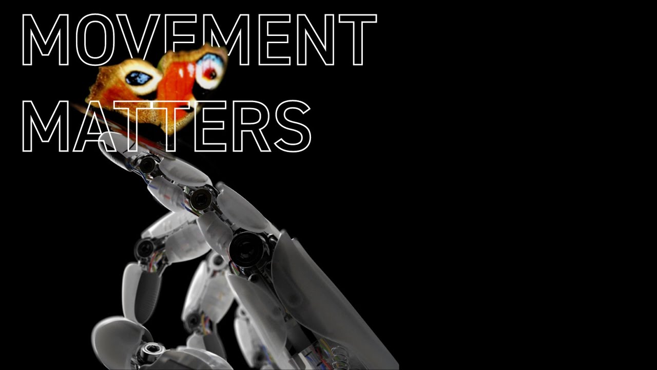 DD23 Movement matters