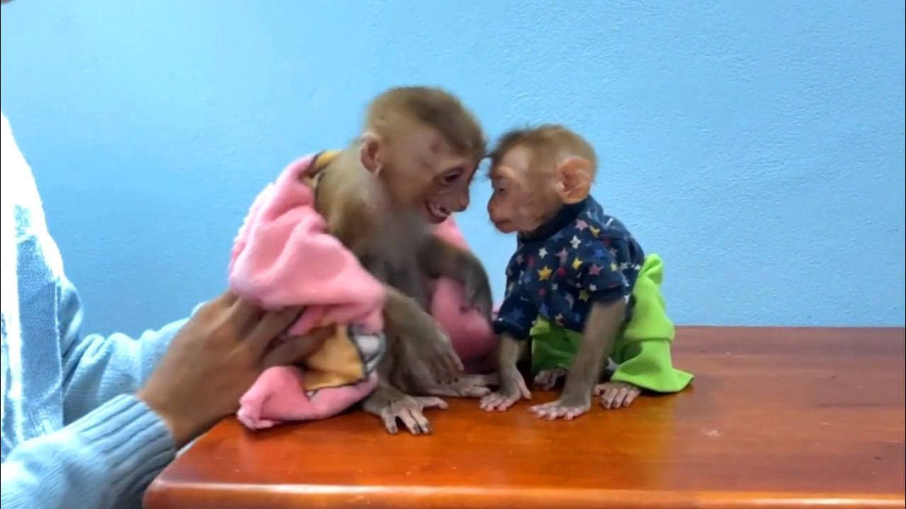 Stubbrn Jueur Screaamm Loud Refused Mom Wear Clothe For Her Till Tourtour Sleep Well