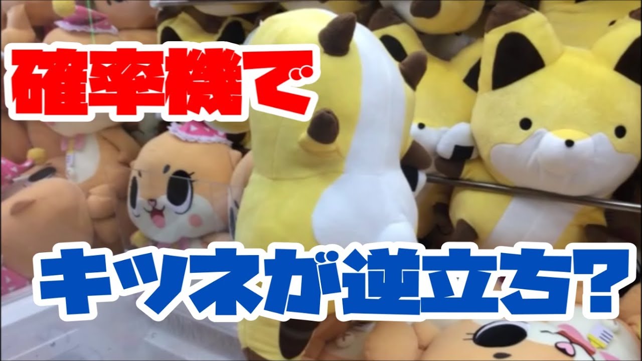 トリプル】確率に勝つシリーズ#18「タヌキとキツネ めちゃでか