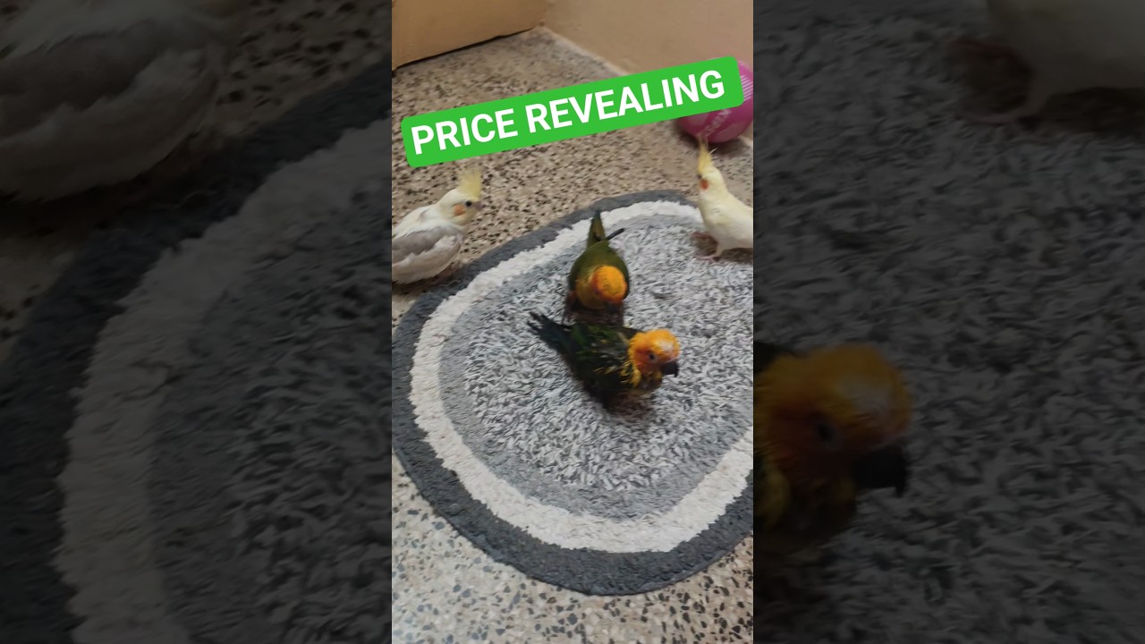 People asked the price… here it is 😬