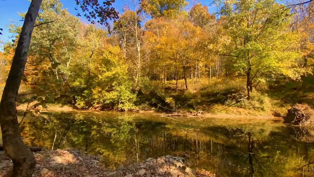 Riversong (Memorial Potamology)—A.S. Coomer