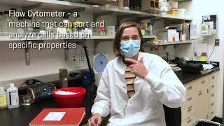 Hutch@Home Virtual Field Trip: The Hans Peter Kiem Lab | November 19th, 2020 Hutch@Home Virtual Field Trip: The Hans Peter Kiem Lab | November 19th, 2020
