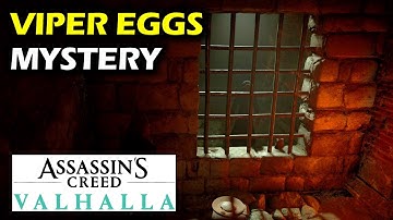 Mystery in Ledecestre: Viper Eggs location | Ledecestrescire Mysteries | Assassin