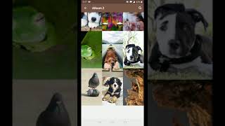 Animal Wallpapers screenshot 5
