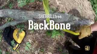 The BackBone from SHERRILLtree Wealth