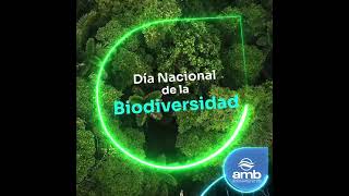Día Nacional de la Biodiversidad en Colombia,