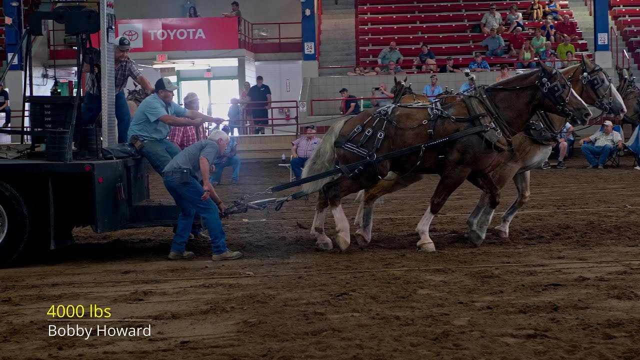 2022 Syracuse NY Lightweight horse pull YouTube