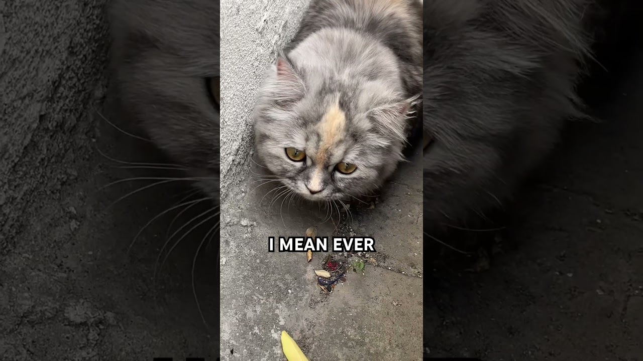 Никогда не забывайте об этом ‼️⚠️ 