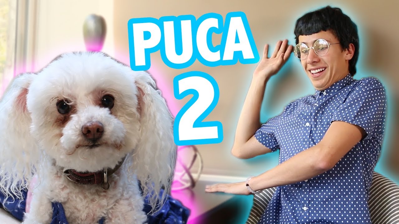 ENTREVISTA A PUCA 2 ft. Rix / Juanpa Zurita - YouTube