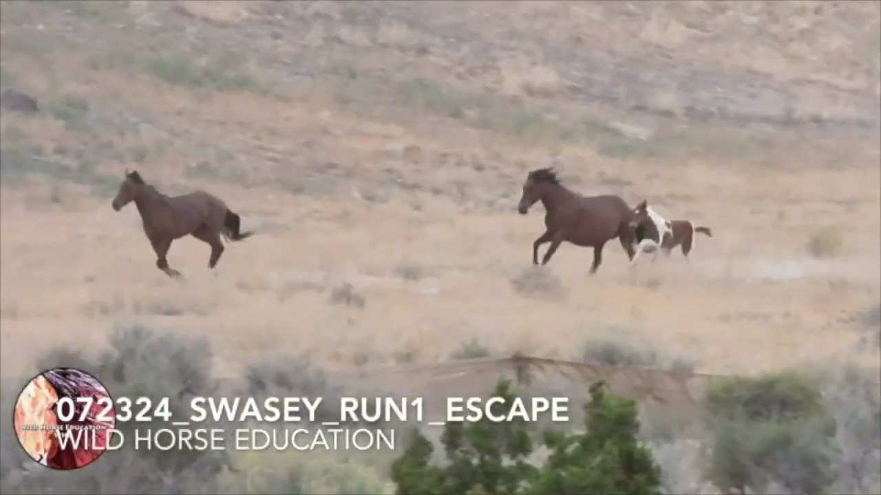 Fiscal Year 2024 Roundups Spring/Summer