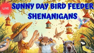 🔴 LIVE: Backyard Bird Feeder + Squirrel Antics (You Never Know What’ll Happen!)
