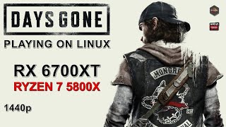 Days Gone | 1440p | RX 6700XT + Ryzen 7 5800X | Linux Gaming