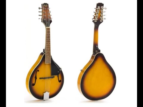 Hola! Music A Style Mandolin Instrument with Adjustable Truss-Rod Model ...