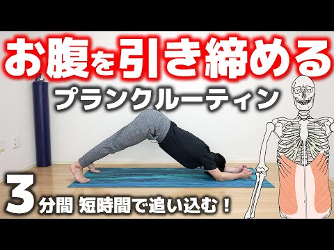 【3分だけ耐えて🔥】お腹を引き締めるプランクトレーニング【腰を痛めず安全に鍛える方法】