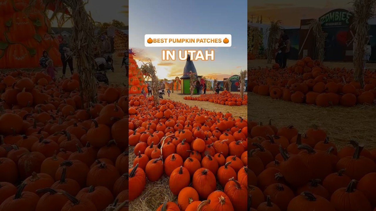 25 BEST Pumpkin Patches in Utah! 🎃🍁 Fall Bucket List #Shorts