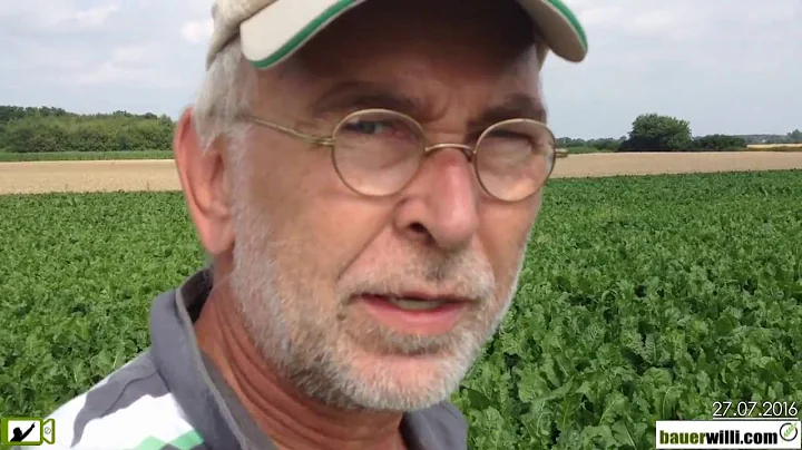 Rben Schosser ziehen