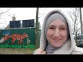 Silent vlog: A beautiful star-shaped town and its painting
