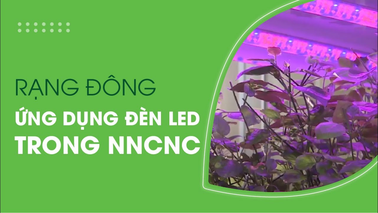 Rạng Đông || Ứng dụng đèn LED trong Nông nghiệp công... - youtube