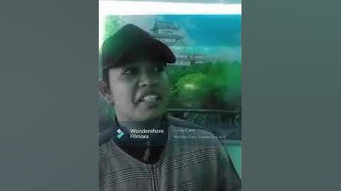 (LINGUISTIC CONVERGENCE)