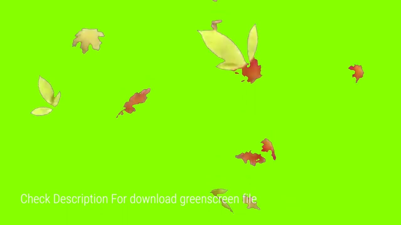 Autumn leaves green screen #4