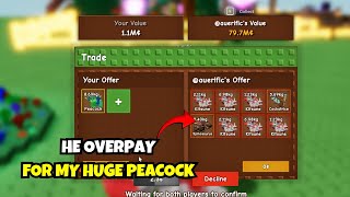 I Traded My Huge Peacock For Insane Overpay Grow A Garden Trading