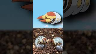 WTF is Grubbin| EVERY Pokémon Design Explained #pokemon #pokemontcg #shorts