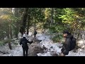Dog Mountain 4
