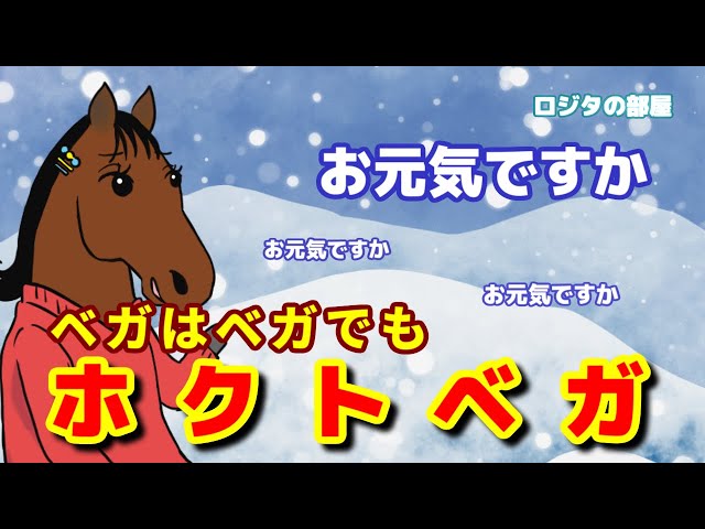 Hokuto Vega] The 