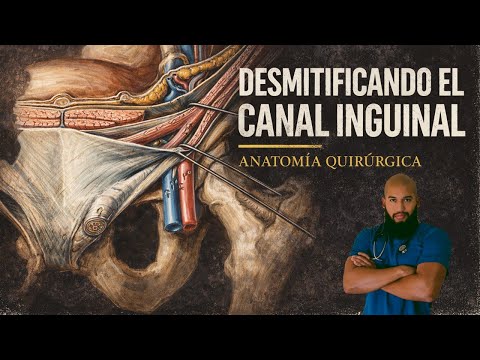 ANATOMÍA - CANAL INGUINAL ACTUALIZADO (Dependencias de las Fascias, Epónimos, Límites & Anillos)