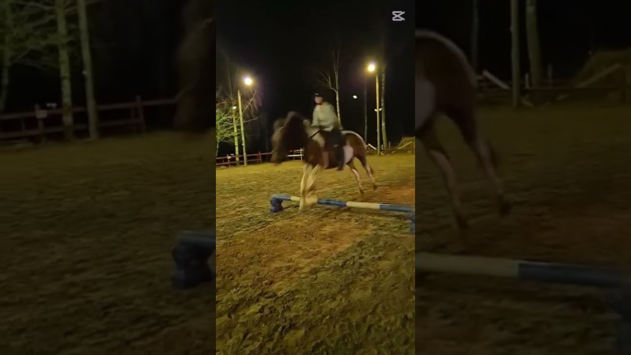 #horse