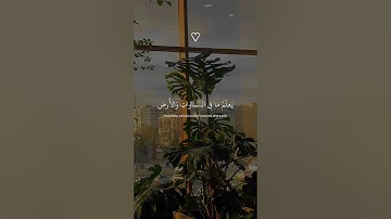 تلاوه من (سوره العنكبوت) بصوت القارئ عبدالرحمن مسعد 🤍#ارح_قلبك #quran #سورة_العنكبوت #عبدالرحمن_مسعد