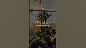 تلاوه من (سوره العنكبوت) بصوت القارئ عبدالرحمن مسعد 🤍#ارح_قلبك #quran #سورة_العنكبوت #عبدالرحمن_مسعد