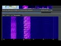 Russian uvb76 jamming with pink panther theme music on 4625 khz usb
