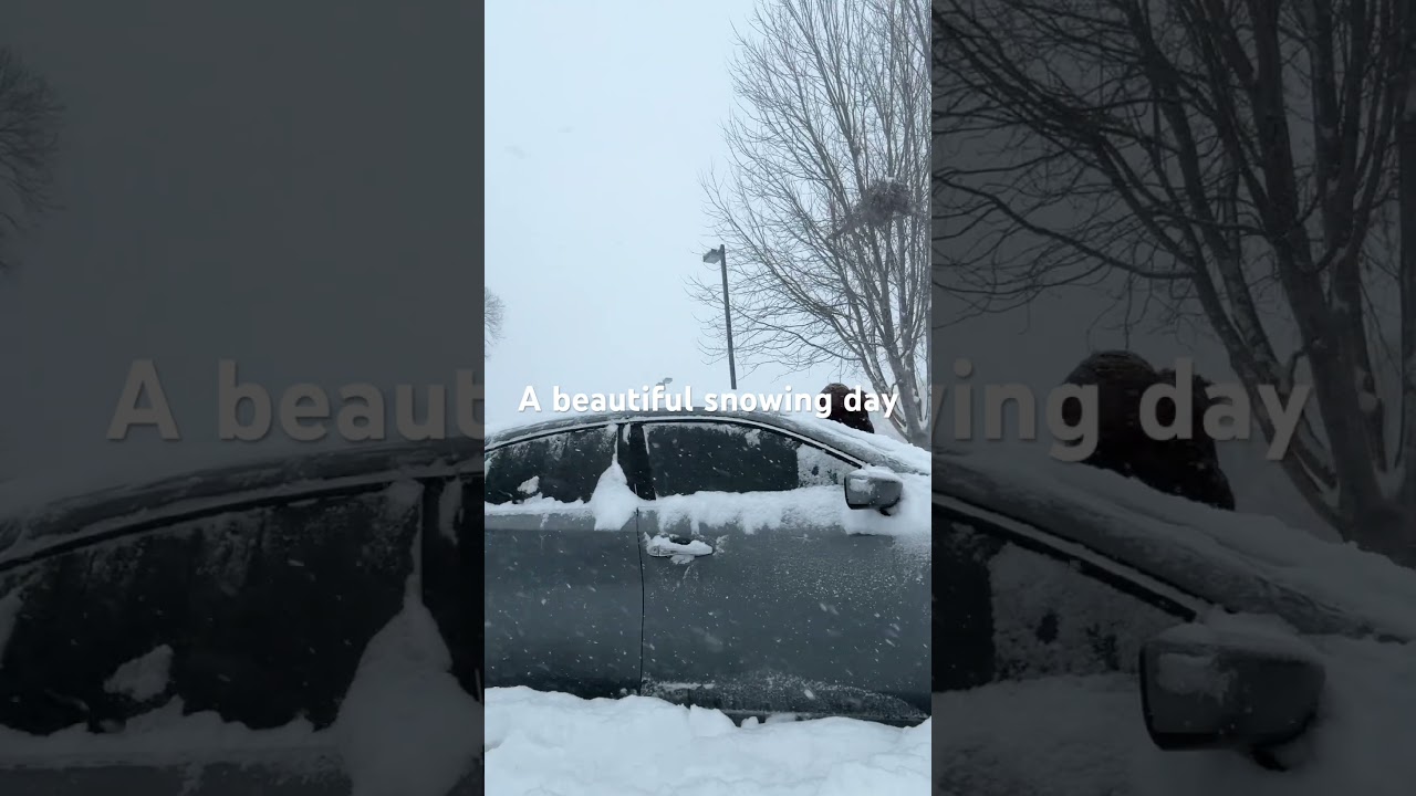 A life of a hustler in the USA during winter