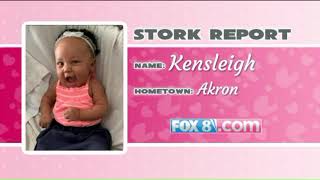 Stork Report 12.3.19