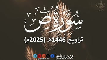 سورة ص | تراويح 1446هـ (2025م) | عمرو شريف الحويني