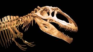 Ultimate Dinosaurs - Bigger, Badder Dinos