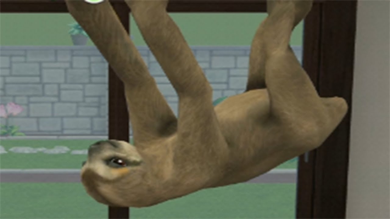 Pet World – My Animal Hospital - TROPICAL PETS – Android Gameplay [FHD]