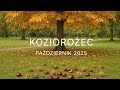 Koziorożec październik 2025 #tarot #wrozka #tarotreading #związki #single #praca #sąd #capricorn