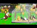 Rano Chidiya Wala Cartoon | Rano Chidiya |2-4-2026 |कार्टून चिड़िया |Cartoon Birds Dekhao|Chichu TV