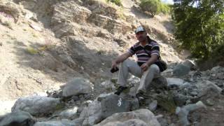 Yabanci Engin Nurşani̇