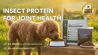 Insect Joint Care Food–100% insect protein with 2–3 level higher hygiene & 90% freshness retention