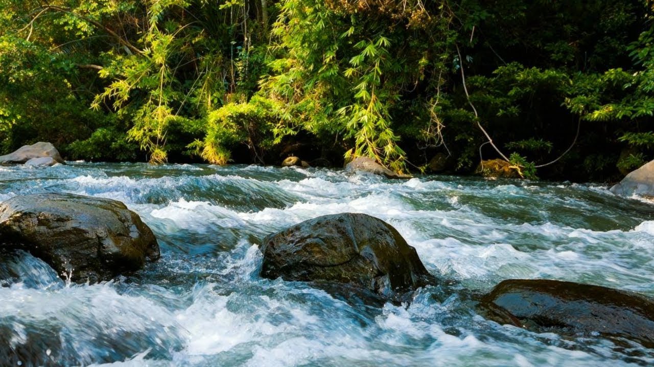 TROPICAL RIVER FLOWING OVER ROCKS, PEACEFUL NATURE ASMR LIVESTREAM FOR SLEEP